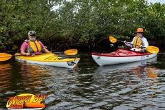 Robinson Preserve 2020