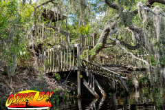 anclote-river-2023-101