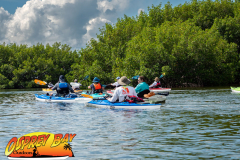 weedon-island-2022-web-15