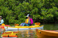 weedon-island-2022-web-17