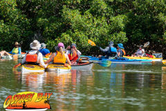 weedon-island-2022-web-23