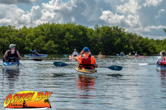 weedon-island-2022-web-7