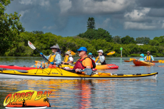 weedon-island-2022-web-9