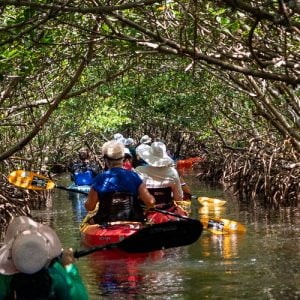 Weedon Island Preserve