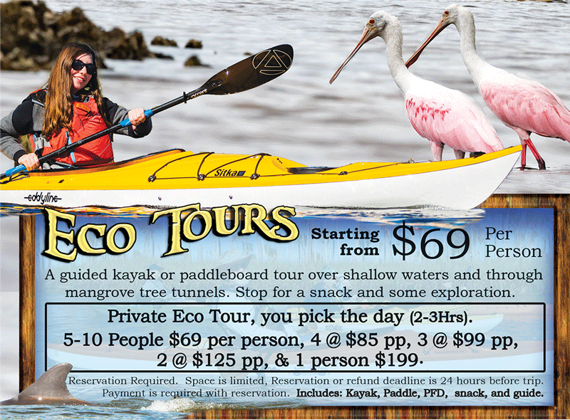 Osprey Bay eco tour flyer — a guided kayak or paddleboard tour over shallow water and through mangrove tunnels at Coopers Bayou. Private trip, you pick the day (2–3 hours). Includes kayak, paddle, PFD, snack, and guide.