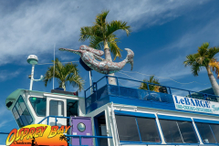 Anclote-River-2021-142