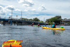 Anclote-River-2021-154