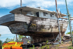Anclote-River-2021-56