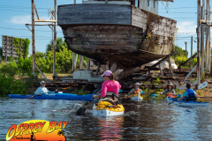 Anclote-River-2021-61