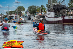 Anclote-River-2024-53