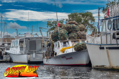 Anclote-River-2024-56