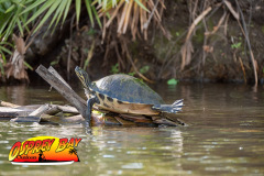 Braden-River-118