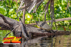 Braden-River-2025-46