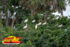 Braden-River-2025-70