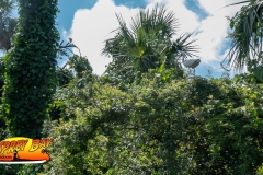 Braden-River-web-21