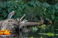 Braden-River-web-23