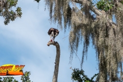 Braden-River-web-28