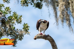 Braden-River-web-30