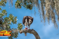 Braden-River-web-31