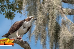 Braden-River-web-32