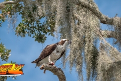 Braden-River-web-33
