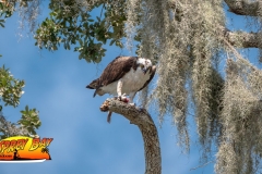 Braden-River-web-34