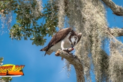 Braden-River-web-35