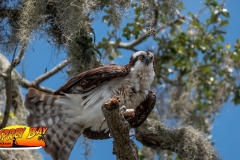 Braden-River-web-36