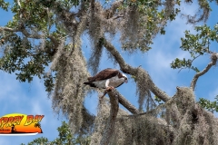 Braden-River-web-37
