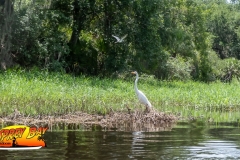 Braden-River-web-76