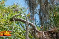 Braden-River-web-80