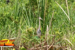 Braden-River-web-82