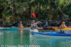 Chassahowitzka-2026-105