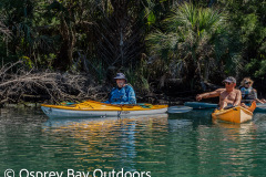 Chassahowitzka-2026-107