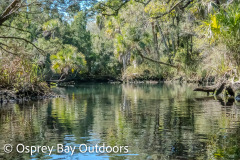 Chassahowitzka-2026-117