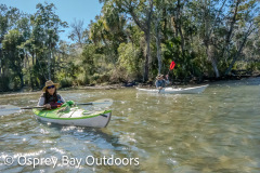 Chassahowitzka-2026-133