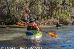 Chassahowitzka-2026-16