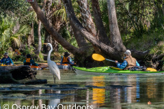 Chassahowitzka-2026-19