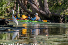 Chassahowitzka-2026-20