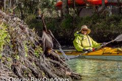 Chassahowitzka-2026-23