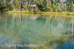 Chassahowitzka-2026-31