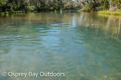 Chassahowitzka-2026-32