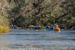 Chassahowitzka-2026-36