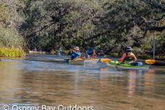 Chassahowitzka-2026-41