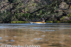 Chassahowitzka-2026-61