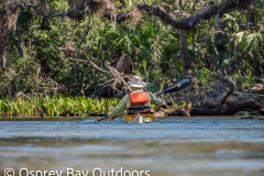 Chassahowitzka-2026-62