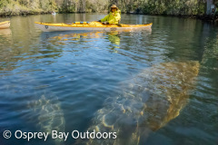 Chassahowitzka-2026-7