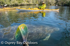 Chassahowitzka-2026-8