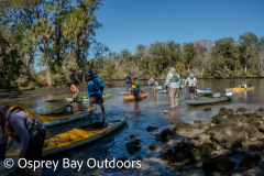 Chassahowitzka-2026-84