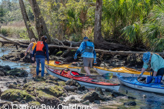 Chassahowitzka-2026-88